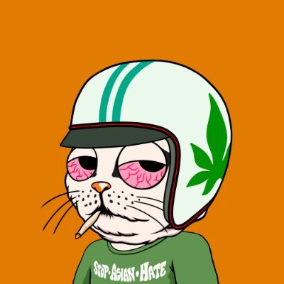 atomiccowboy420's profile picture. i accept tips in $paypr. i'm lost. send help. no sabe.  FKA @connorborrego