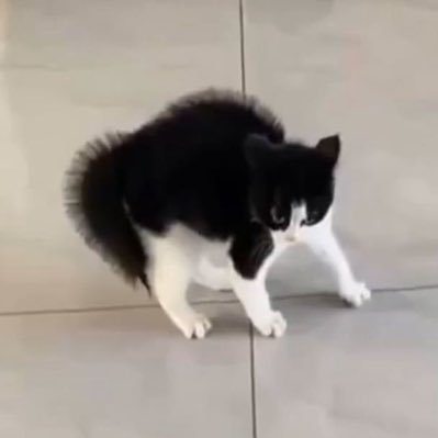 えいちゃんさんのプロフィール画像