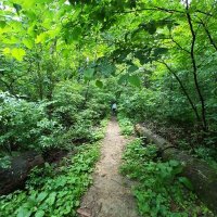 martincarpo.ron🐉$MON '🚀MATR1XCoin (@mmatr1xcoi44425) 's Twitter Profile