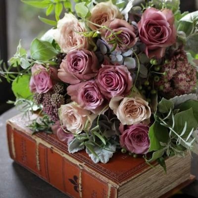 bektes_ulku's profile picture. 