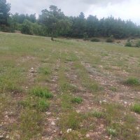 Pamukkale 20 (@alimkocab71106) 's Twitter Profile