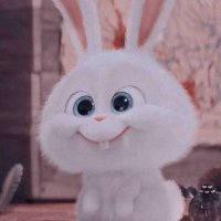 M.moo🪐💫 (@mmooel98) 's Twitter Profile Photo M.moo🪐💫 (@mmooel98) 's Twitter Profile Photo