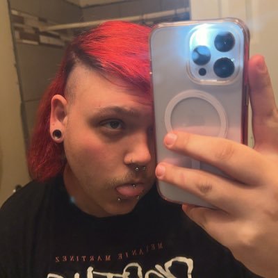 aliteralhomox's profile picture. •Gay🏳️‍🌈| TN📍