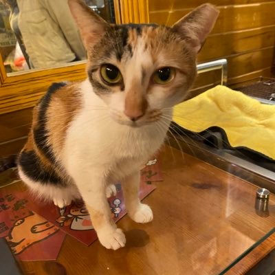 Rob84924703's profile picture. Hi, I'm a diver, camper, designer, photographer......!