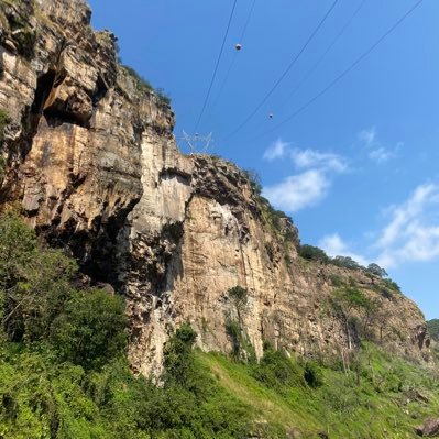 mukusuka's profile picture. unknown