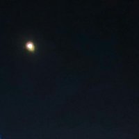 Moonlight_sh (@moonlight_osh) 's Twitter Profile Photo Moonlight_sh (@moonlight_osh) 's Twitter Profile Photo