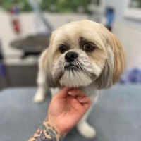Harvey (@harvey_em1) 's Twitter Profile
