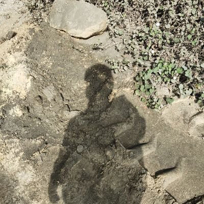 citttraaaas's profile picture. 