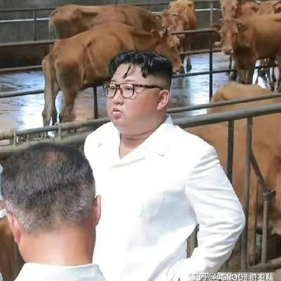 xijinpingzhidie's profile picture. 