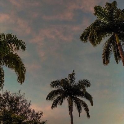 JaneAng33147982's profile picture. I hate Drama and I detests Lies ..