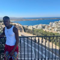 josh (@joshuaogunsanwo) 's Twitter Profile