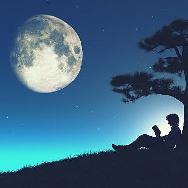 jan_kimbo93633's profile picture. $KIMBO OG and Graphic Designer - The #1 dog 🐶 on $AVAX 🔺 @KimboAvax