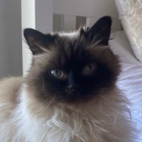 C (@cs444444) 's Twitter Profile