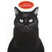 Black Cat Cap 🐈⬛ (@craven_a_) Twitter profile photo Black Cat Cap 🐈⬛ (@craven_a_) Twitter profile photo