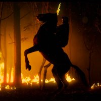 Ranjith NBK “ᵀᴴᴬᴺᴰᴬⱽᴬᴹ”🦁🔱 (@ranjithnbk) 's Twitter Profile Photo Ranjith NBK “ᵀᴴᴬᴺᴰᴬⱽᴬᴹ”🦁🔱 (@ranjithnbk) 's Twitter Profile Photo