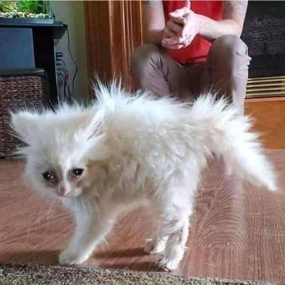 aIexmoffat's profile picture. the one direction of kind-uh, ah, kinda lookin a little weeeird