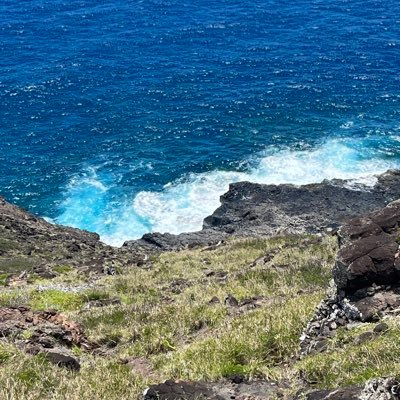 DianeCamp11's profile picture. Mom, wife, and Coach and my son’s biggest fan !!