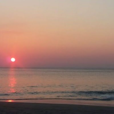 XiniaGuerr23995's profile picture. 