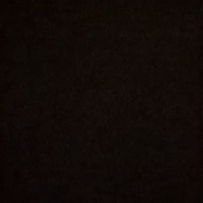 alienlobstercat's profile picture. 