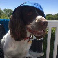 Caroline Lane (@laney1879) 's Twitter Profile Photo Caroline Lane (@laney1879) 's Twitter Profile Photo