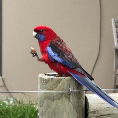 Jamesp43638's profile picture. 