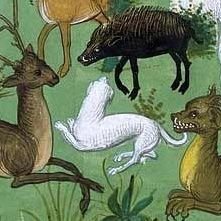 literalfugitive's profile picture. c'est literalarsonist en cavale pour raisons personnelles