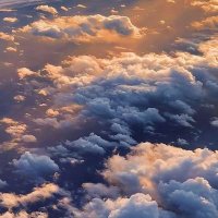 sazor (@sazor139342) 's Twitter Profile