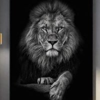 Sparks fire (@sparksfire92) 's Twitter Profile