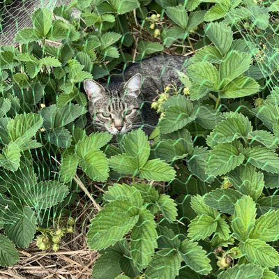 yuliabuch's profile picture. 