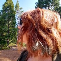 I Voted For This 🇺🇸 (@flutterbye4547) 's Twitter Profile Photo I Voted For This 🇺🇸 (@flutterbye4547) 's Twitter Profile Photo