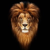 D3ad_Hand $FURY (@d3adf33954) 's Twitter Profile