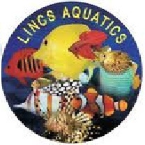 This account is not monitored daily, for any queries or support please email us at Contact@LincsAquatics.cpm or call us on 01507 451 000