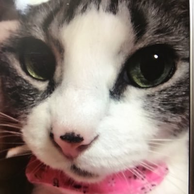 JngqBktfwV20449's profile picture. 