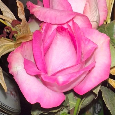 txindn's profile picture. Tweets by me