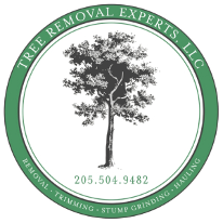 treeremoval2024's profile picture. Tree Removal Experts Offers Tree Services in Alpine, AL 35014