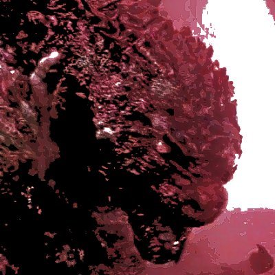 Artist-Animator-living weapon
Kofi: https://t.co/g7UciAZXhP
