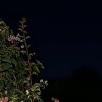 ... (@v000900) 's Twitter Profile