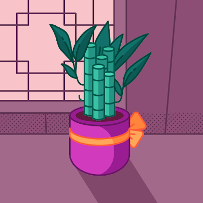 sekhsalman504's profile picture. 