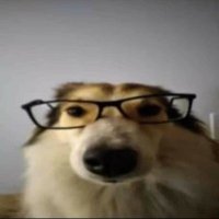 ˙𐃷˙ (@upyearning) 's Twitter Profile Photo
