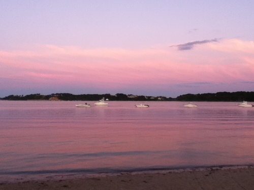 rererecreation's profile picture. recreation