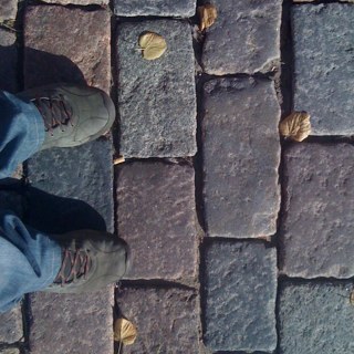 RyansMcLean's profile picture. Health Inspector, Aspiring Naturalist, Coffee Novice, Sunflower Enthusiast.