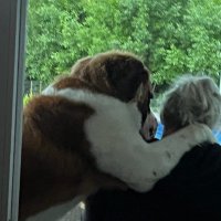 Krista Garcia (Gilliland) (@krista_kg) 's Twitter Profile Photo