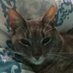 Audrey Pilon (@audreypilo79680) Twitter profile photo Audrey Pilon (@audreypilo79680) Twitter profile photo