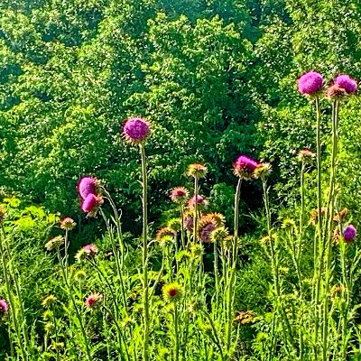 HHRanchMO's profile picture. I won't accept your follow request....