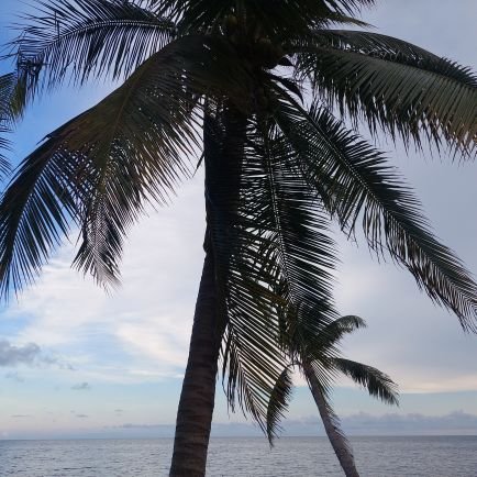 Chris_slayer17's profile picture. nada que hacer