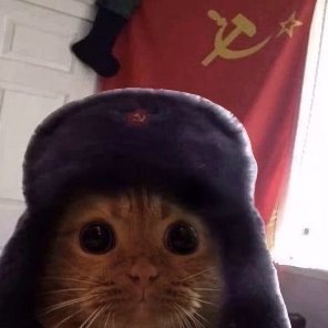 skillizzue's profile picture. yo