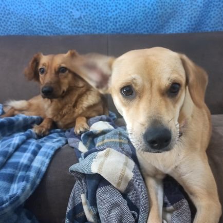 josemnunez1990's profile picture. 