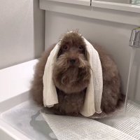 beandip (@moralitys0) 's Twitter Profile