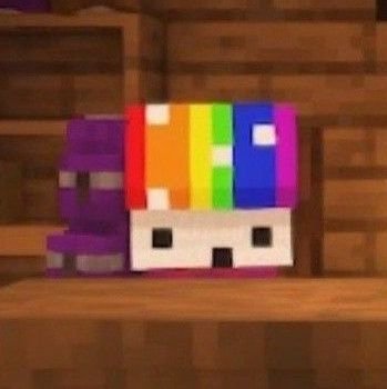 Hyperfixated on Minecraft since 2012 || Chronic Rtwtr || Eng + Some Esp || Totemtwt || ex-beetwt || Traffictwt ||