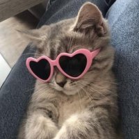 dee (@deeosrs) 's Twitter Profile Photo dee (@deeosrs) 's Twitter Profile Photo